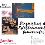Diagnósticos de Establecimientos Comerciales