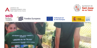 Vols formar-te i treballar alhora