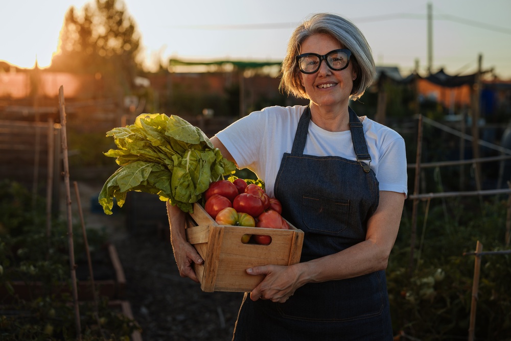 Senior,Farmer,Carrying,A,Wooden,Crate,Full,Of,Freshly,Picked